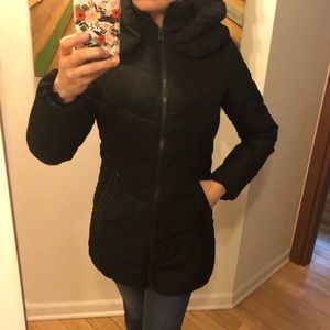 Black Puffy Calvin Klein coat w/ removable collar